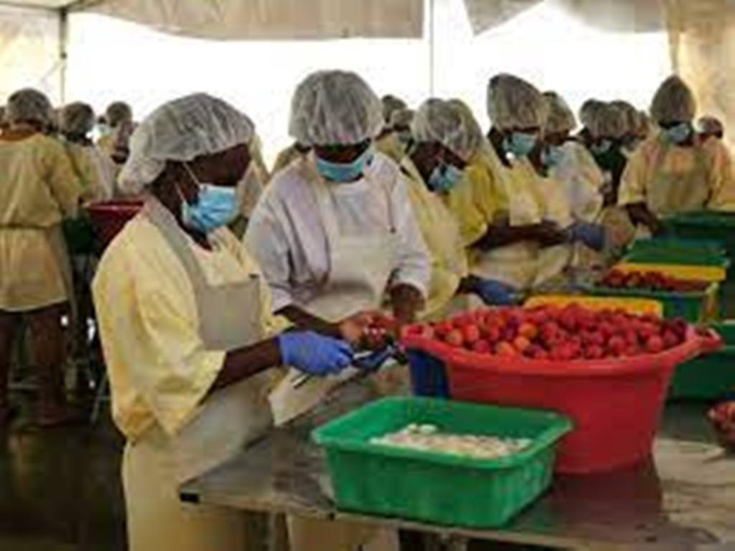 Madagascar: le secteur privé demande en urgence une politique de relance post-Covid Madagascar: le secteur privé demande en urgence une politique de relance post-Covid