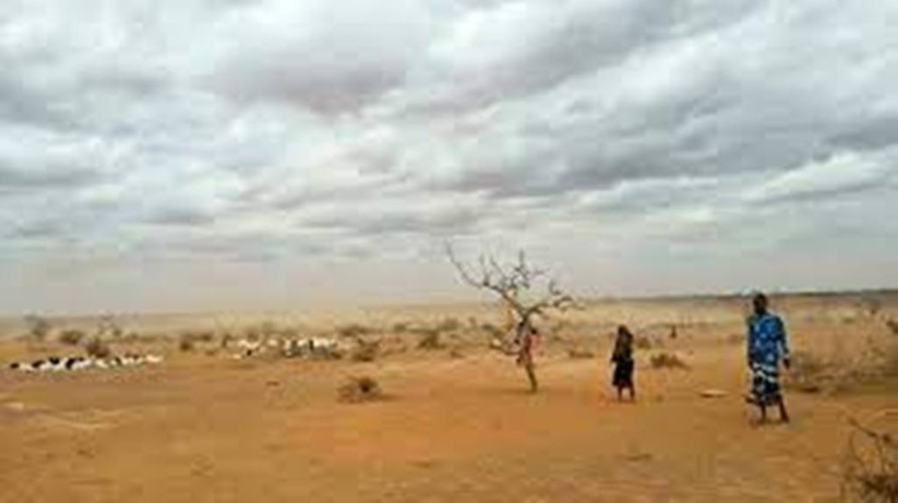 Somalie: face à la sécheresse, la situation humanitaire se détériore dangereusement Somalie: face à la sécheresse, la situation humanitaire se détériore dangereusement
