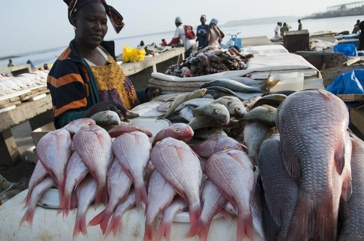 Un Sénégalais consomme 29 kg de poisson par an (PRCM)