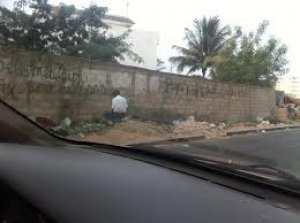 Journée mondiale des toilettes: 6 millions de Sénégalais se soulagent dans la nature