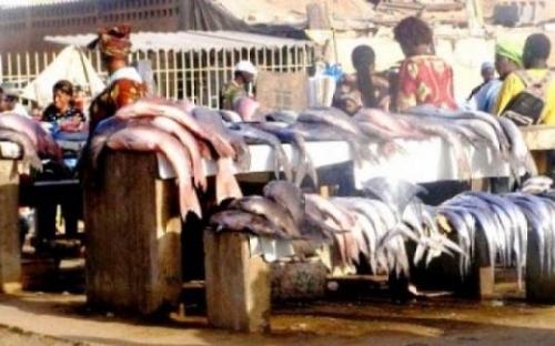 Matinée mouvementée à Rufisque : vendeurs de poissons et agents municipaux s’étripent