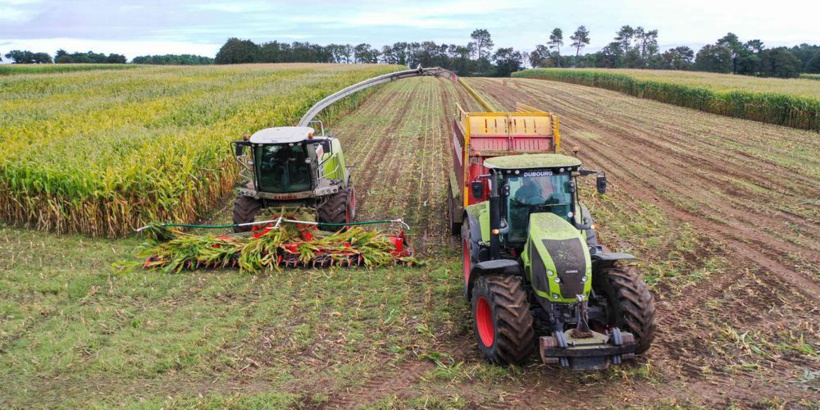 La France métropolitaine a perdu 100 000 exploitations agricoles sur dix ans
