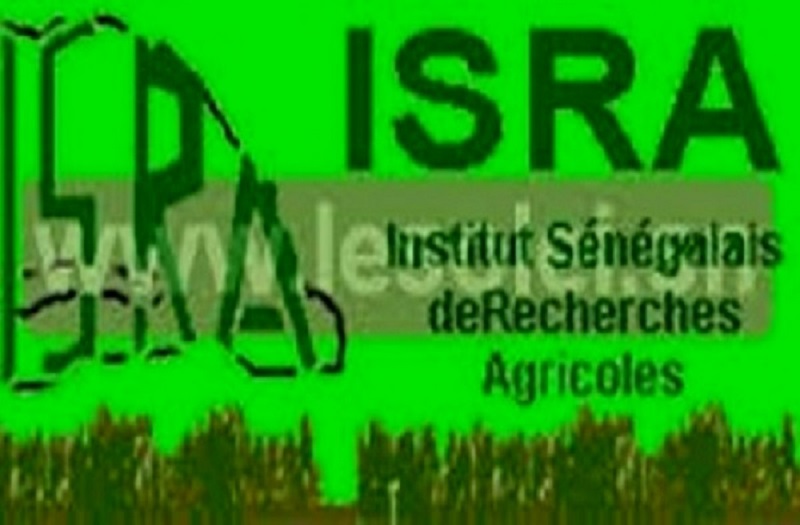 Le Syndicat autonome de la recherche agricole et agroalimentaire alerte sur la situation de l’ISRA