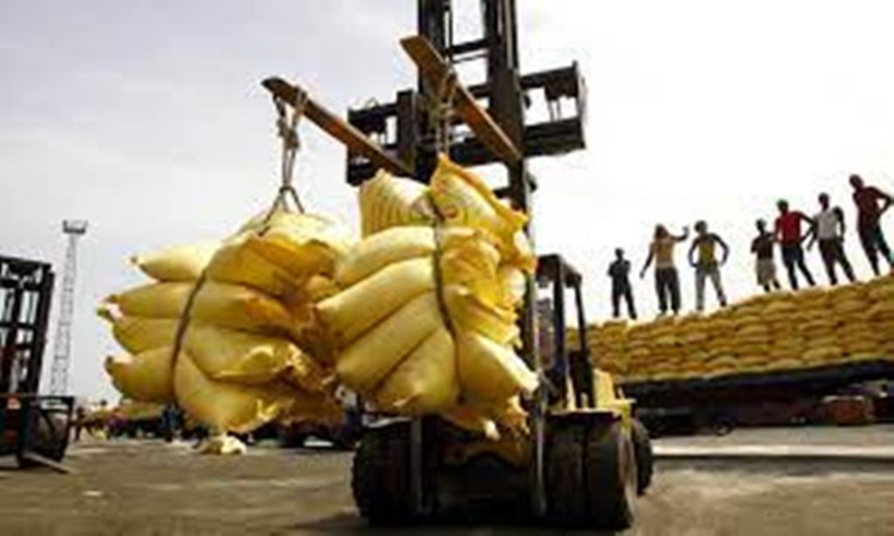 Autosuffisance en riz: « l’objectif n’est pas atteint mais on a fait des pas de géants », indique Waly Diouf Autosuffisance en riz: « l’objectif n’est pas atteint mais on a fait des pas de géants », indique Waly Diouf