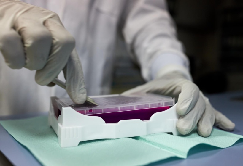 La Covid-19Sn entame 2022 en force: 282 nouveaux cas et 801 patients sous traitement La Covid-19Sn entame 2022 en force: 282 nouveaux cas et 801 patients sous traitement