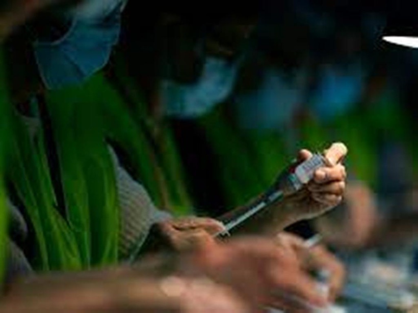 Covid-19 : pourquoi Omicron semble moins sévère que le variant Delta Covid-19 : pourquoi Omicron semble moins sévère que le variant Delta