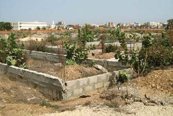 Escroquerie foncière à Mont Rolland: un collectif d’enseignants décide de porter plainte contre le maire Escroquerie foncière à Mont Rolland: un collectif d’enseignants décide de porter plainte contre le maire