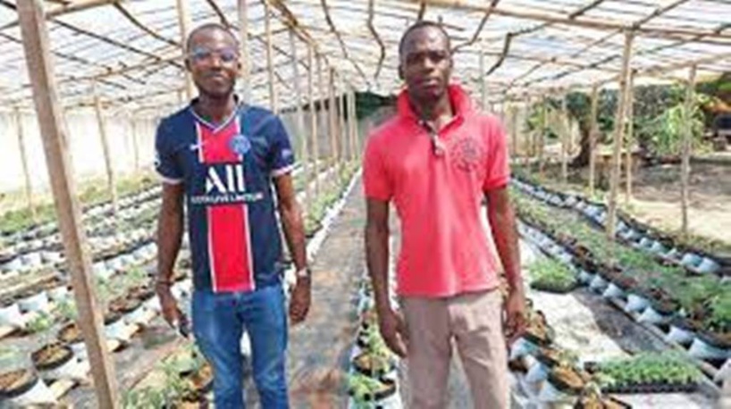 Côte d'Ivoire: l'agriculture hors-sol, le nouveau défi des grandes villes africaines Côte d'Ivoire: l'agriculture hors-sol, le nouveau défi des grandes villes africaines