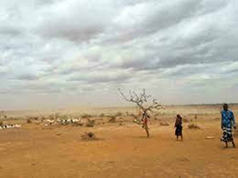 Corne de l’Afrique: la FAO alerte sur l’urgence d’une aide pour éviter une crise alimentaire Corne de l’Afrique: la FAO alerte sur l’urgence d’une aide pour éviter une crise alimentaire