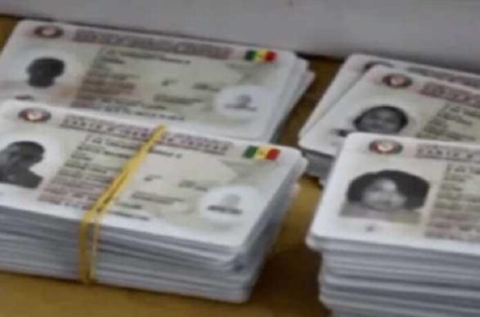 Élections locales : plus de 9.600 cartes non encore distribuées à Diourbel