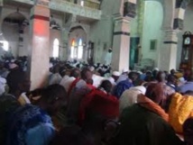 Clôture du Bourde ou « l'éloge de la meilleure des créatures » Clôture du Bourde ou « l'éloge de la meilleure des créatures »