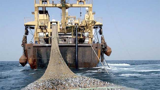 Négociations du Traité sur les océans mondiaux : La Société civile dénonce les restrictions à sa participation