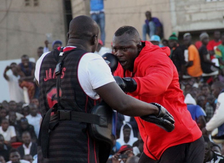 Modou Lô réplique à Eumeu : « je vais le battre de façon rapide »