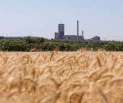 Cours du blé: la guerre en Ukraine aura une incidence en Afrique aussi