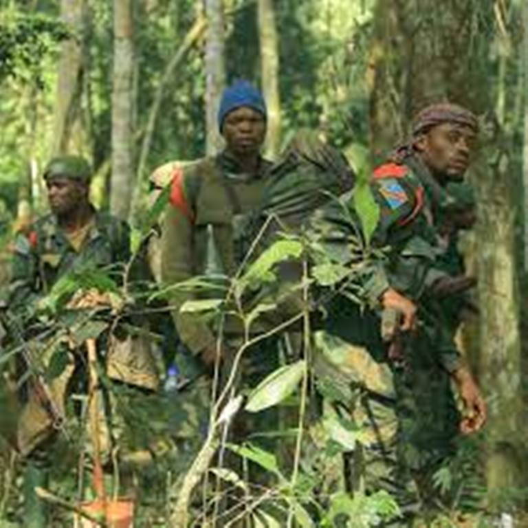 Nouveau massacre dans l'est de la RDC, malgré trois mois d'opérations face aux ADF