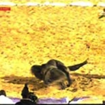 En images : Xaragne Lô administre une leçon de lutte à Eumeu Sène En images : Xaragne Lô administre une leçon de lutte à Eumeu Sène