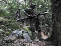 Des rebelles rwandais hutus du FDLR, à 150 km au nord-ouest de Goma, en 2009 AFP/ Lionel Healing