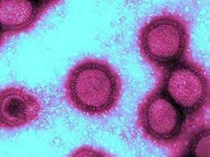 Ukraine: l'OMS recommande à Kiev de détruire les agents pathogènes utilisés dans ses laboratoires Ukraine: l'OMS recommande à Kiev de détruire les agents pathogènes utilisés dans ses laboratoires