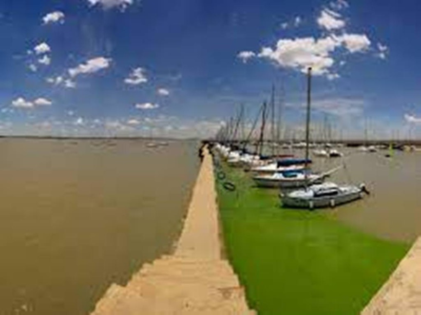Afrique du Sud: grave pollution sur la rivière Vaal qui alimente le Gauteng en eau potable