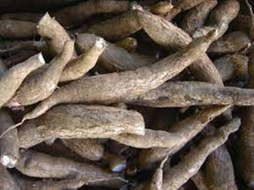 Par quels produits remplacer la farine de blé? La farine de manioc Par quels produits remplacer la farine de blé? La farine de manioc