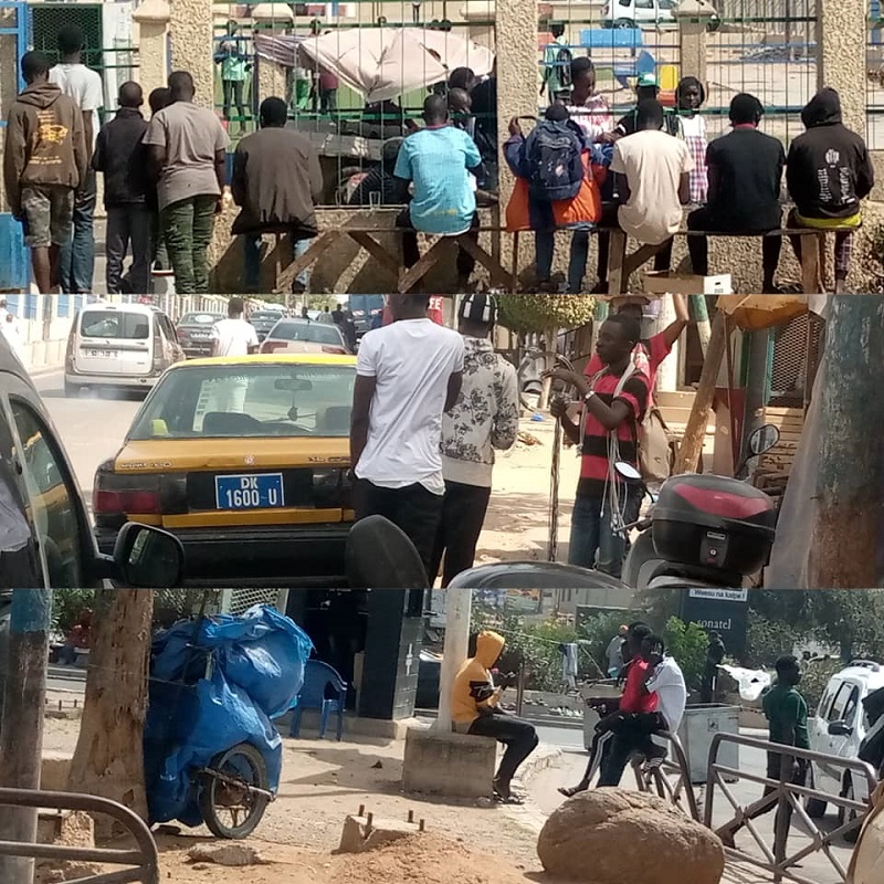 Confiants pour leur qualification au Mondial, les supporters des "Lions" promettent l’enfer à ceux des Pharaons