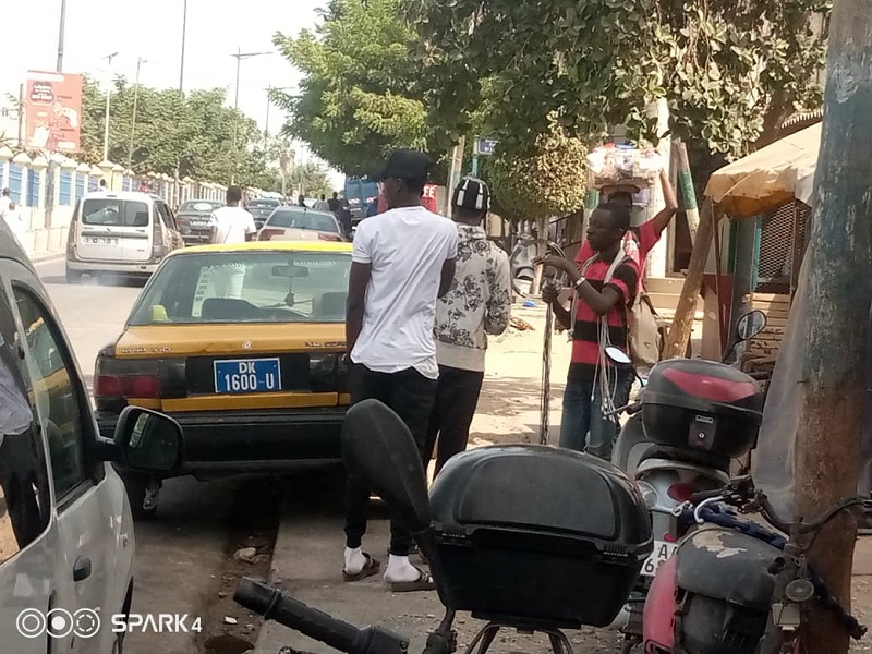 Confiants pour leur qualification au Mondial, les supporters des "Lions" promettent l’enfer à ceux des Pharaons