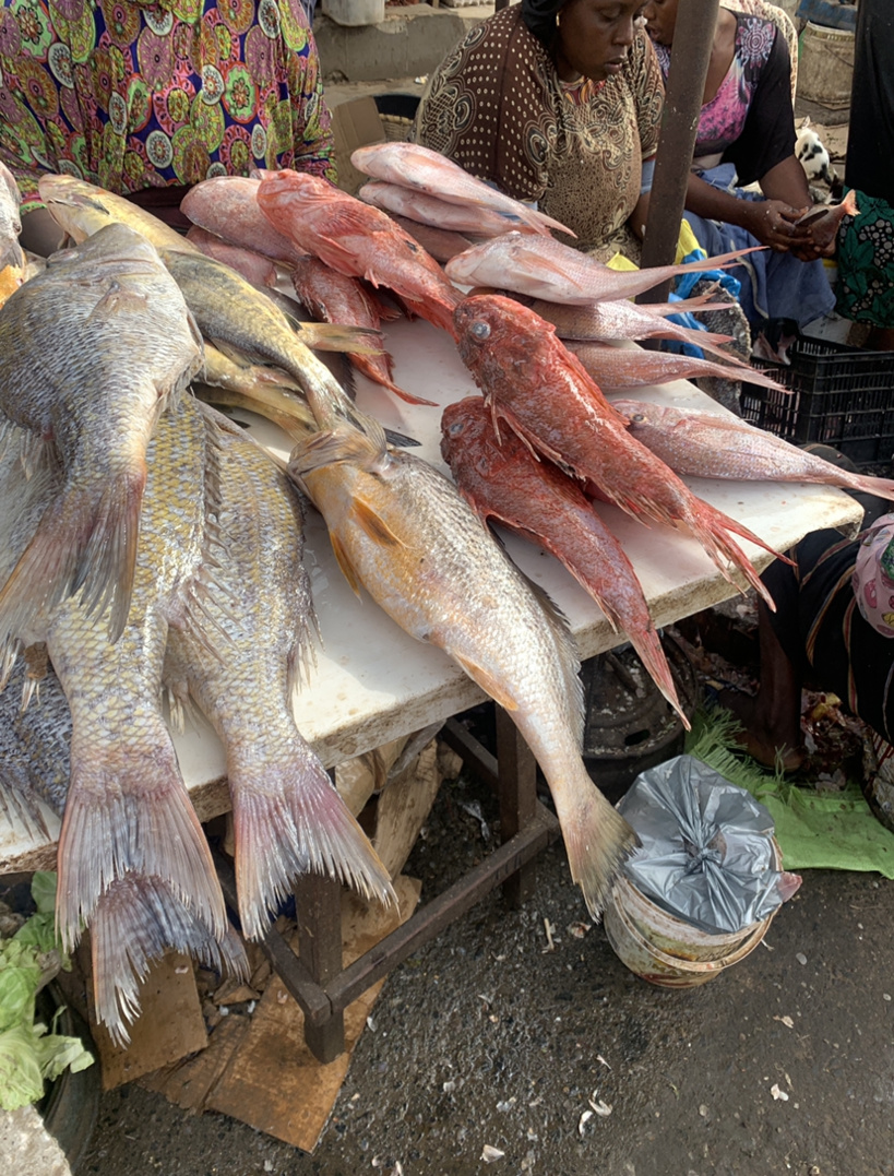 Marché Castor : à quelques jours du ramadan, les prix des denrées jugés stable, mais le poisson se fait rare
