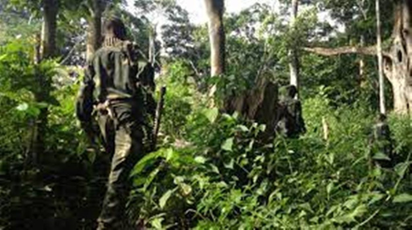 RDC: le gouvernement reconnaît une «défaillance» de l'armée lors d'une opération contre le M23 RDC: le gouvernement reconnaît une «défaillance» de l'armée lors d'une opération contre le M23