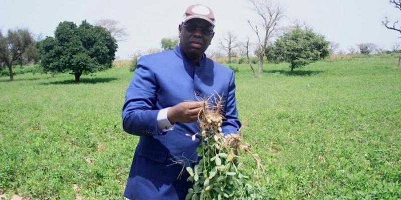 Campagne agricole : le budget passe de 60 à 70 milliards F Cfa (Macky Sall)