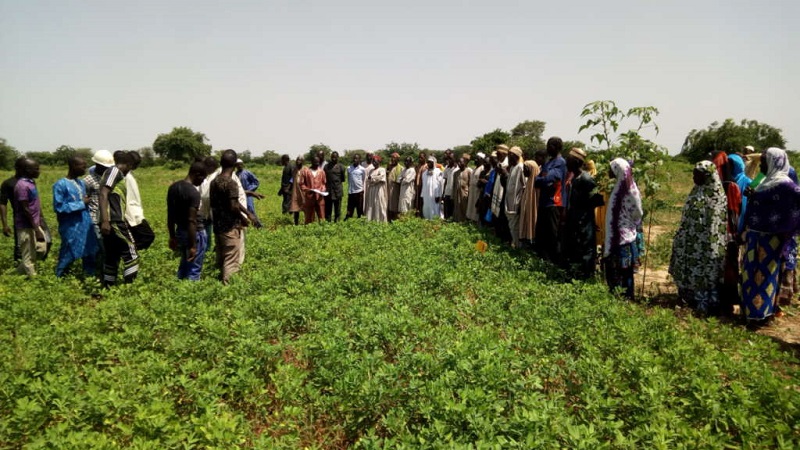 Sénégal : Lancement prochain du Programme d’amélioration de la connectivité des zones agricoles