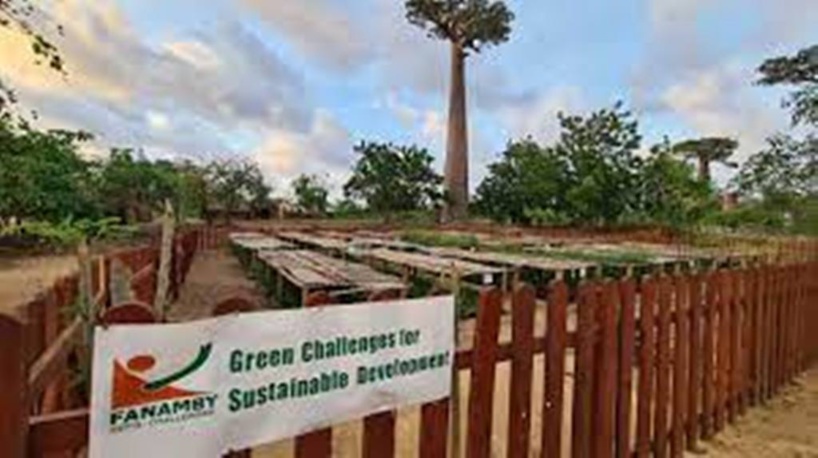 Madagascar se dote d'un guide pratique pour réussir les initiatives de reforestation Madagascar se dote d'un guide pratique pour réussir les initiatives de reforestation