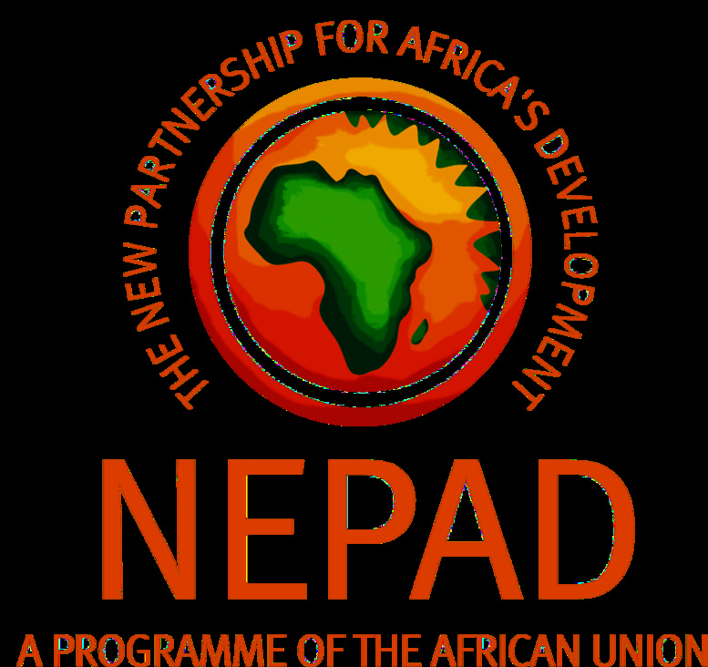 Nepad Cherche une position commune pour l’efficacité du développement