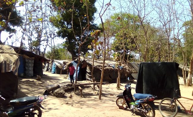 Casamance: 894 personnes déplacées à cause des opérations de sécurisation de l'Armée