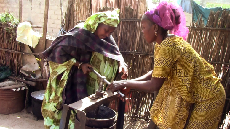 Maty qui produit de l'huile d'arachide avec l'appui de sa belle fille Maty qui produit de l'huile d'arachide avec l'appui de sa belle fille