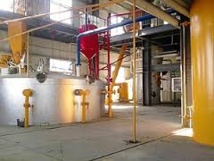 Une société chinoise construira une unité de transformation d'arachides