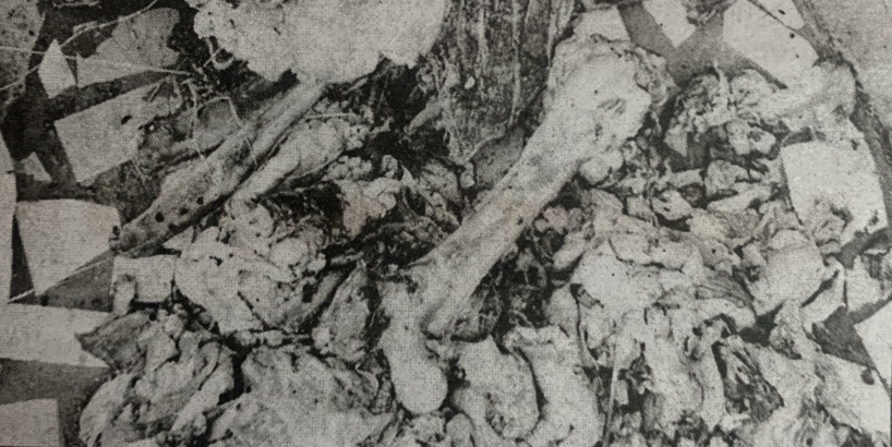 Rebeuss : un Nigérian arrêté avec un charriot contenant de la viande d’âne Rebeuss : un Nigérian arrêté avec un charriot contenant de la viande d’âne