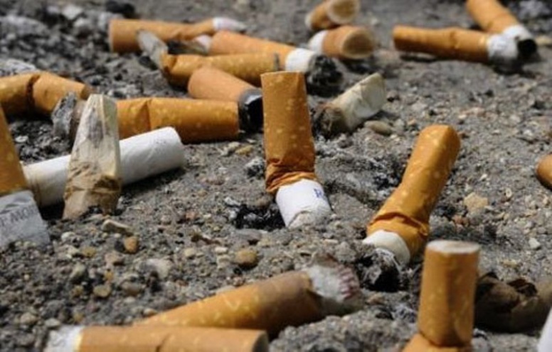 Assemblée nationale: les députés décidés à barrer la route au tabac Assemblée nationale: les députés décidés à barrer la route au tabac