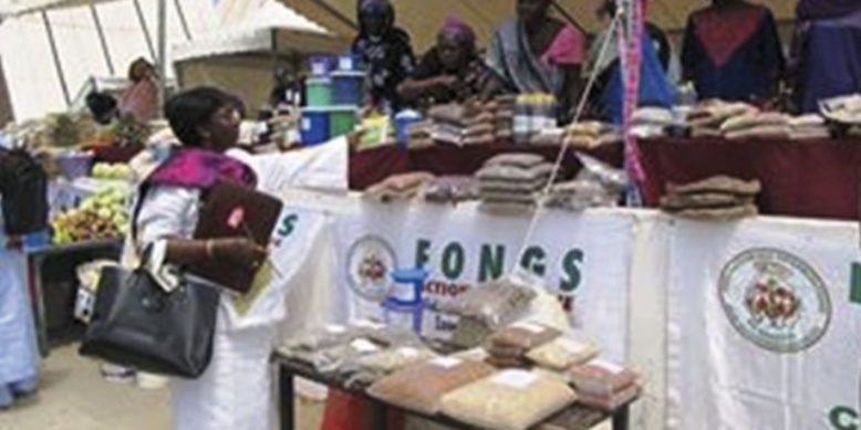 FIARA 2014: la vision d’une économie profitable aux ruraux, équilibrée et durable en question 