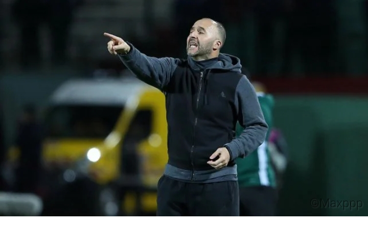 Algérie : Djamel Belmadi répond sèchement à Tony Chapron