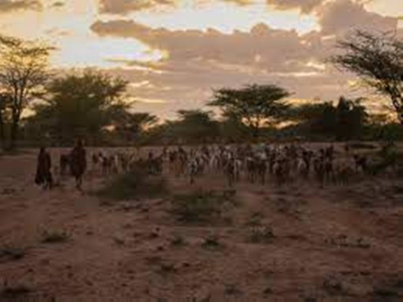 Les pastoralistes du Turkana, à l’épreuve du dérèglement climatique