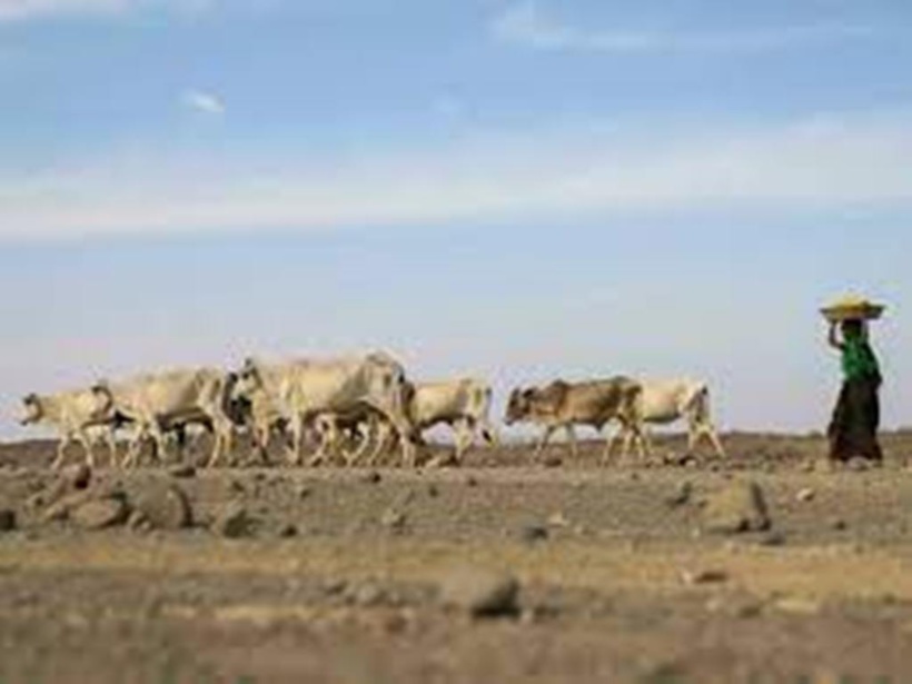 COP15: 196 États attendus à Abidjan pour lutter contre la désertification COP15: 196 États attendus à Abidjan pour lutter contre la désertification