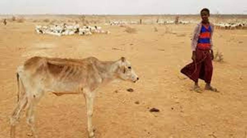 COP15: «319 millions d'hectares sont menacés de désertification en Afrique»