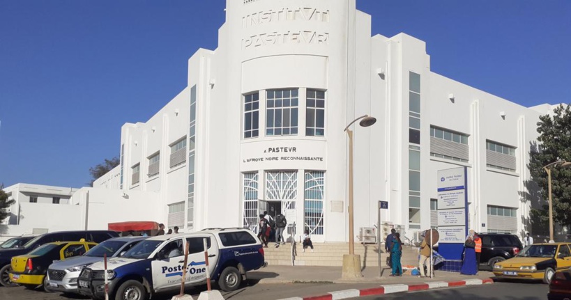 Institut Pasteur : Deux cambrioleurs frappent deux fois et se font arrêter Institut Pasteur : Deux cambrioleurs frappent deux fois et se font arrêter