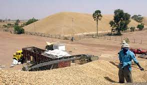 Campagne agricole: le ministre annonce 70 mille tonne de semences