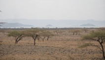 Kenya : le plus grand projet éolien en Afrique sur les rails Kenya : le plus grand projet éolien en Afrique sur les rails
