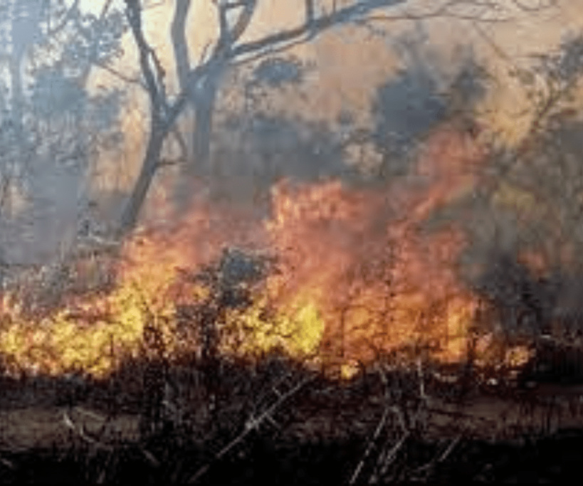 Incendie à Podor : le bilan s’alourdit et passe à 4 morts