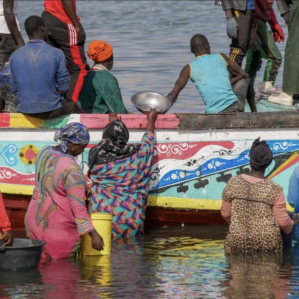 Migrations - Saint-Louis: Zoom sur la détresse des épouses, mères et enfants dévastés par l'émigration clandestine Migrations - Saint-Louis: Zoom sur la détresse des épouses, mères et enfants dévastés par l'émigration clandestine