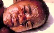 Fièvre Ebola en Guinée: peur sur Guéckédou Fièvre Ebola en Guinée: peur sur Guéckédou