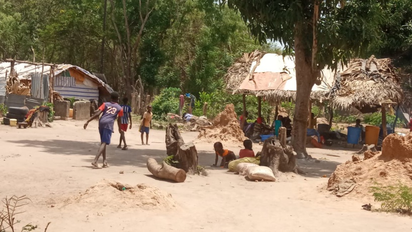 #Migrations - Bissine et Boffa, femmes et enfants entre souvenirs d'exil douloureux et retour normal à la vie compromis #Migrations - Bissine et Boffa, femmes et enfants entre souvenirs d'exil douloureux et retour normal à la vie compromis