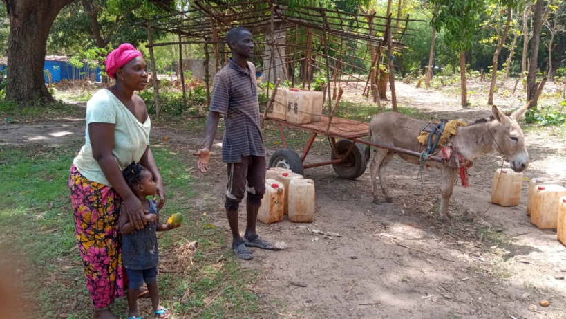 #Migrations - Bissine et Boffa, femmes et enfants entre souvenirs d'exil douloureux et retour normal à la vie compromis #Migrations - Bissine et Boffa, femmes et enfants entre souvenirs d'exil douloureux et retour normal à la vie compromis